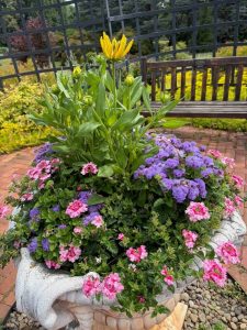 The Womans Club of York June 2026 Event 9